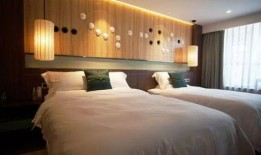 乐山酒店爆料事件最新,揭秘背后真相与行业反思