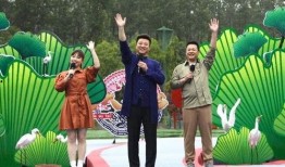 扬州导游爆料视频大全最新,揭秘古城扬州的鲜为人知故事