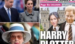 哈利爆料最新,娱乐圈背后的惊人真相